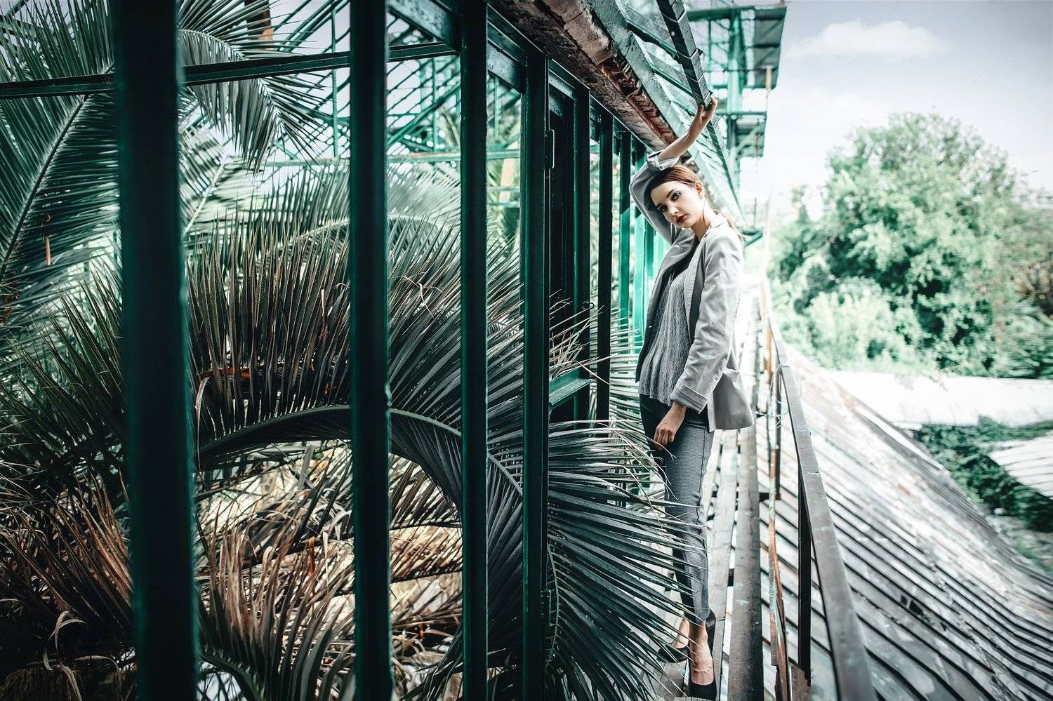 , Ройко Константин