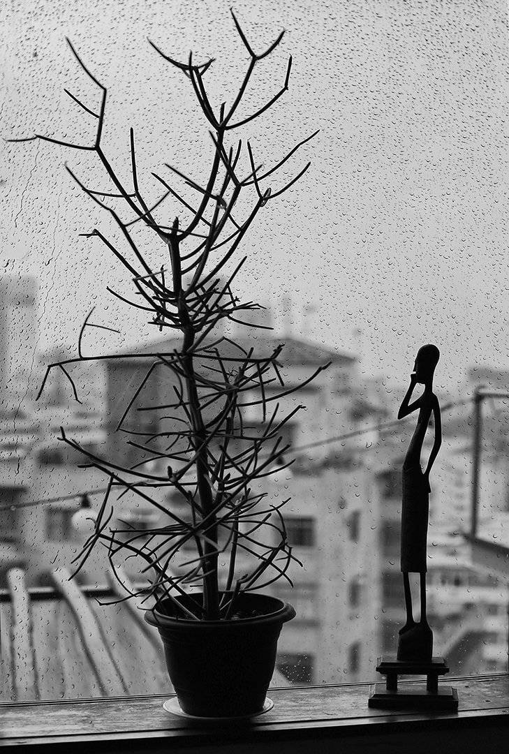дождь, окно, стекло, капли, статуэтка, комнатное растение, ALLA SOKOLOVA