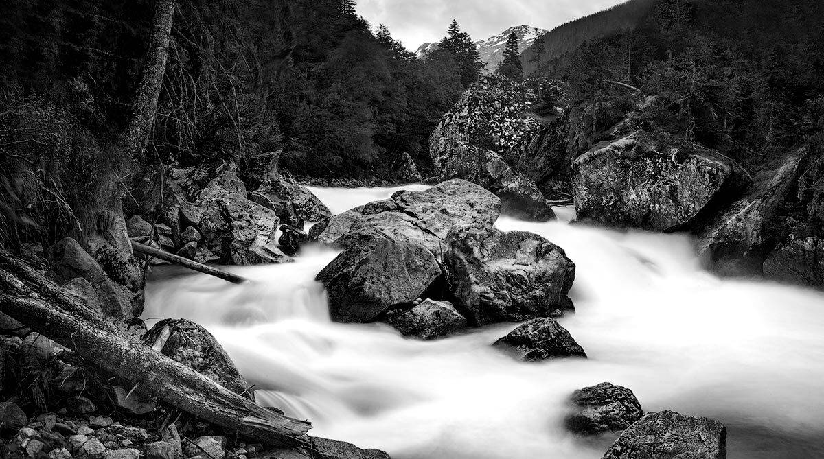 тебердинский заповедник, Владимир Сковородников