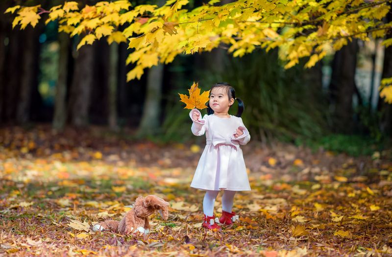 kid, girl, natural light, autumn, kidsfoto, colour, leaf, childhood, love Touch of leaf фото превью