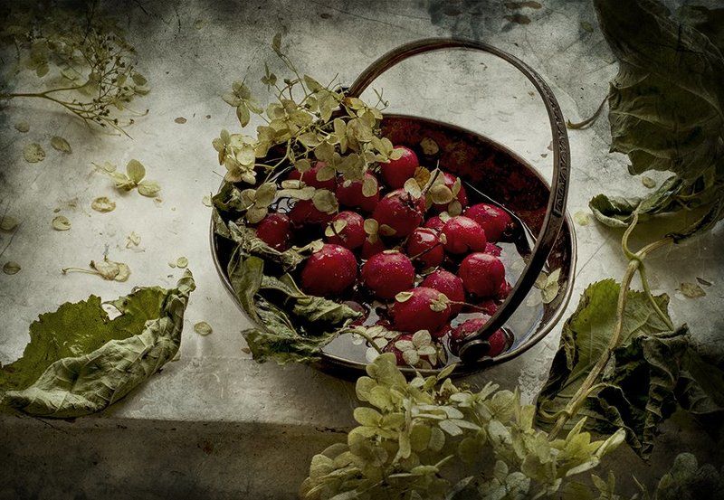 боярышник, дождь, ваза, листья, осень Боярышник фото превью