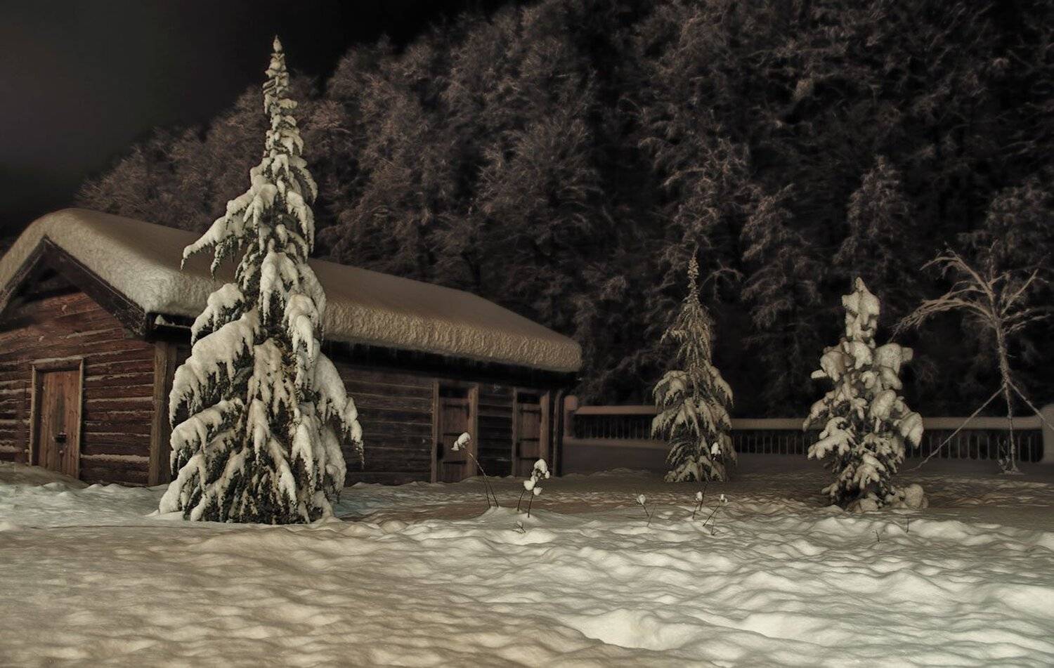 ночь, Ольга Серёдкина