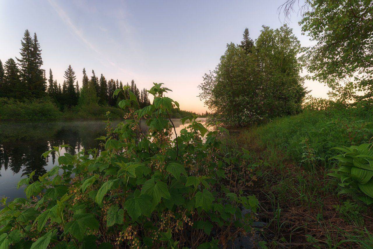 печора,коми,север,белые,ночи, Игорь Подобаев