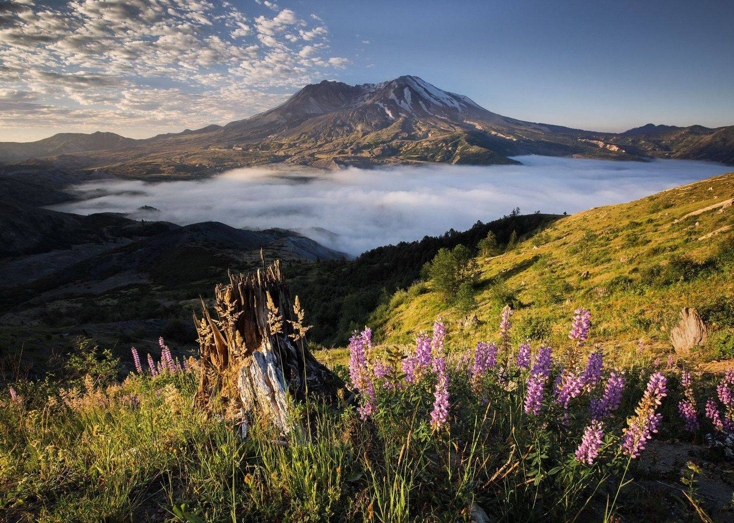 mountain, Nathaniel Merz