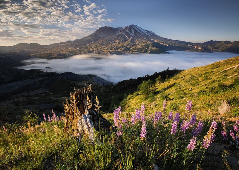 mountain Pure Mountain Morning фото превью
