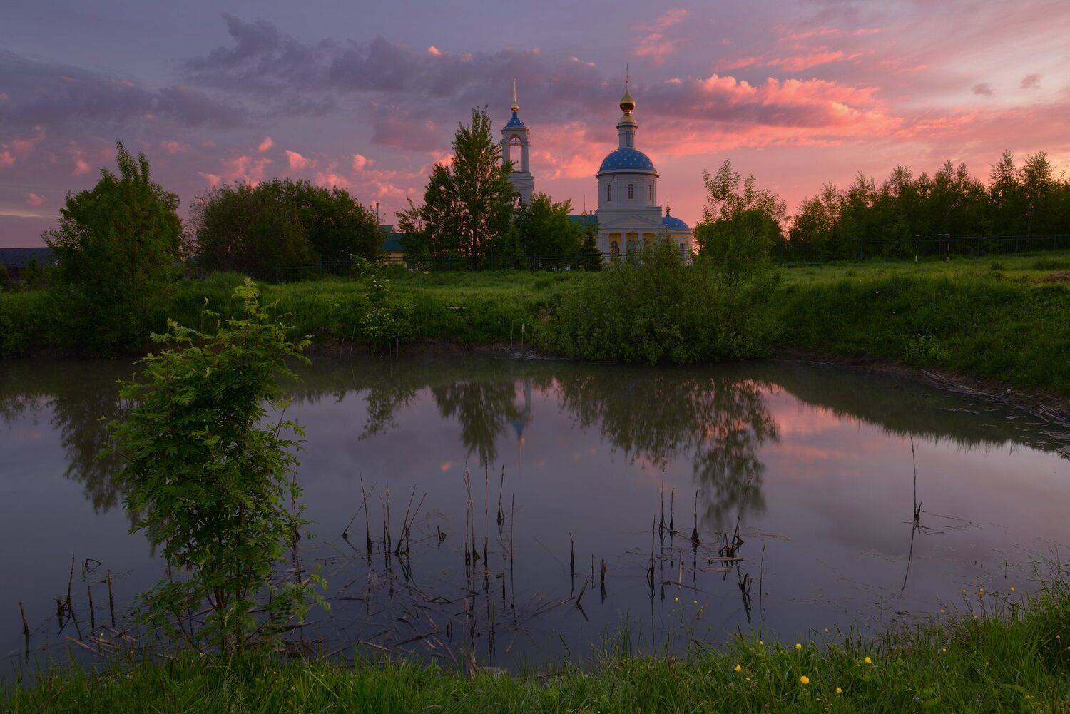 , Максим Евдокимов (www.wildphotorus.ru)