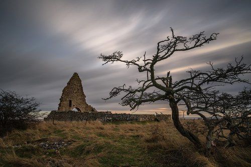 Landscapes