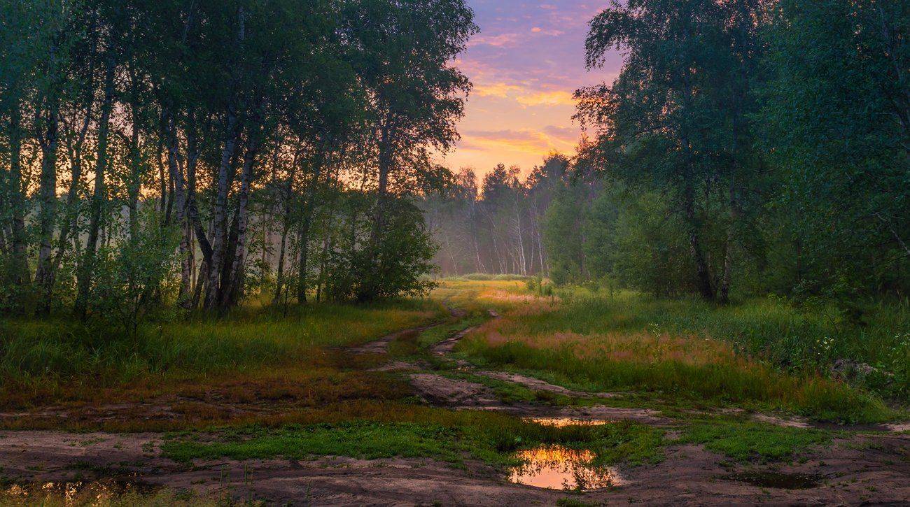 луг, рассвет, лето, июль, Галанзовская Оксана