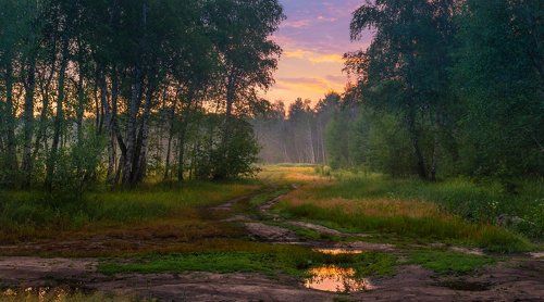Проснулся луг, умытый летним ливнем
