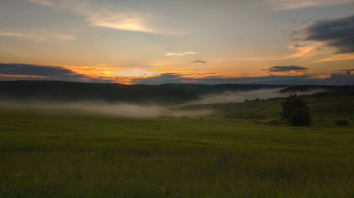 , Владлен Халимов