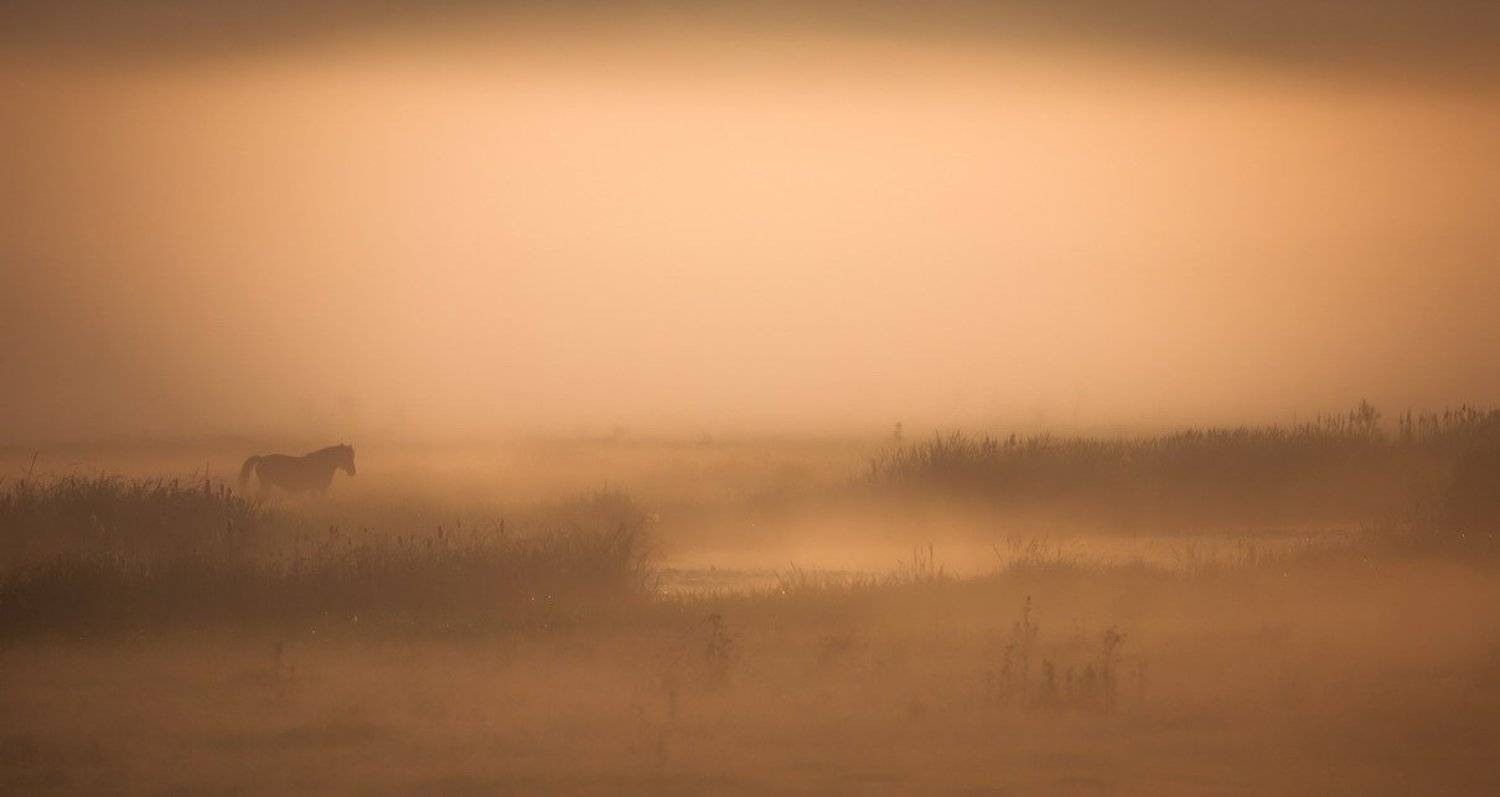 , Вячеслав Мищенко