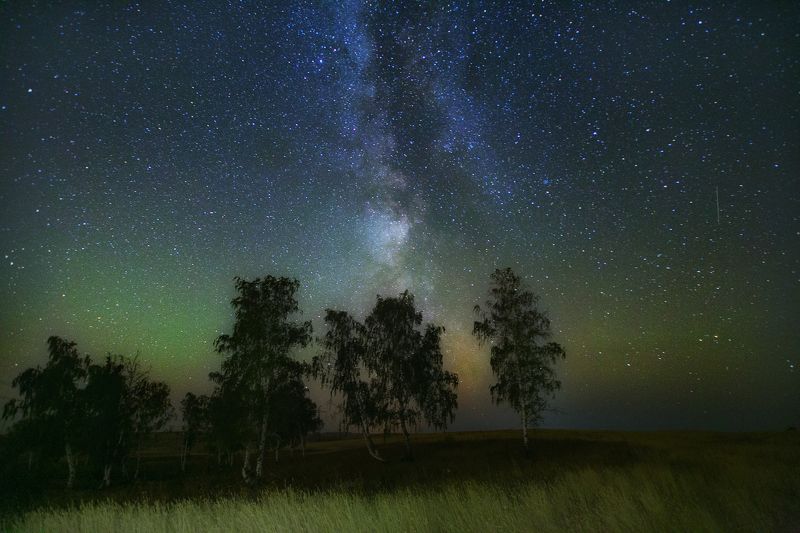 Берёзовая роща под звёздами  фото превью