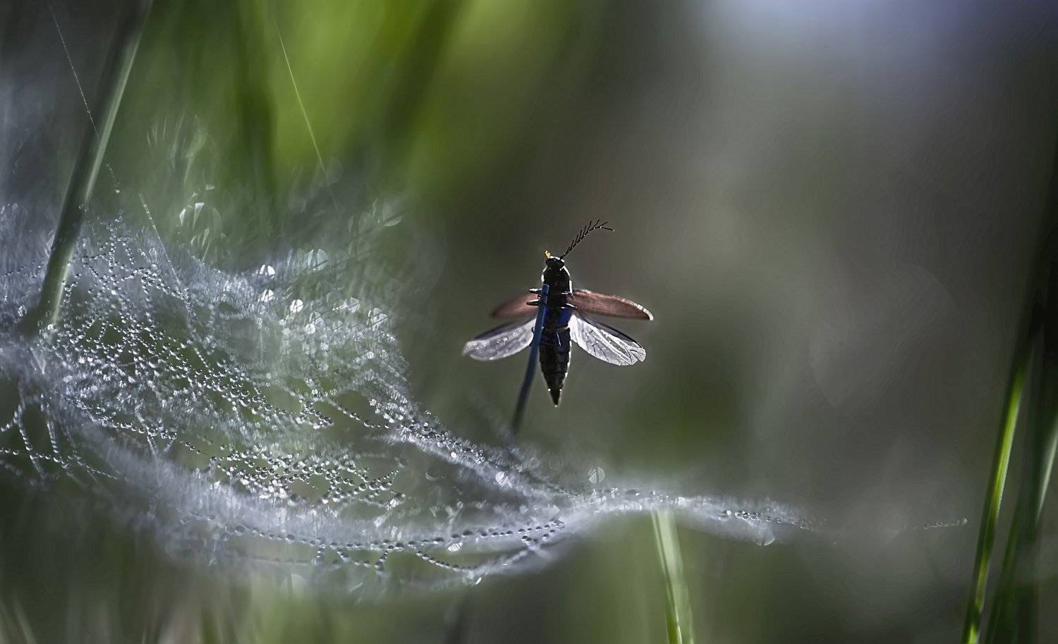 ..лето, Галина  Юняева