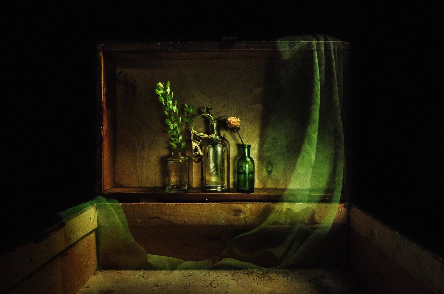 , Харитонова Елена