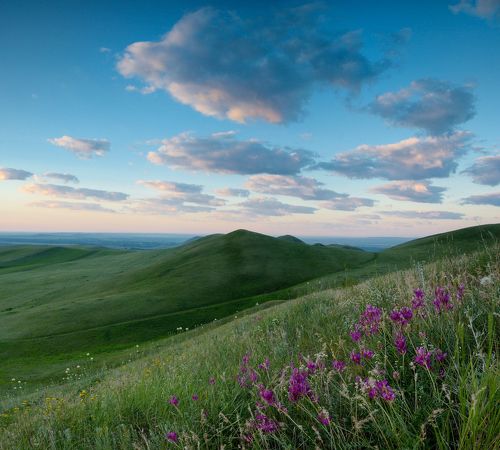 Перед рассветом