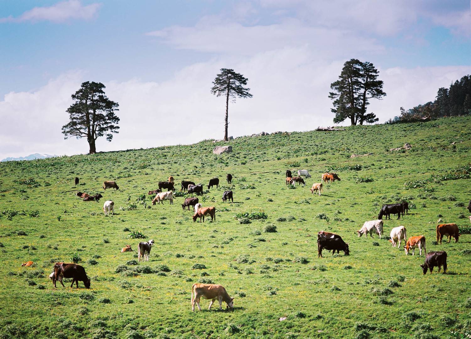 , Эдуард Перов