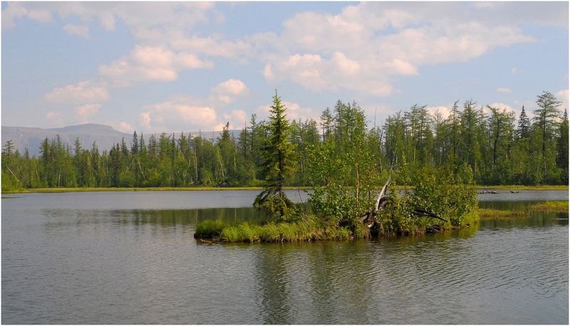 Таймыр,июль,лето Про островки фото превью