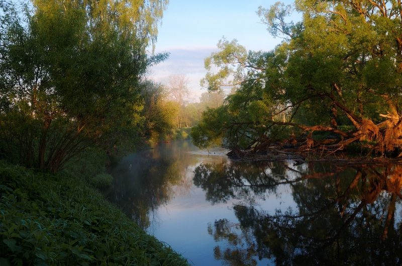 *** фото превью