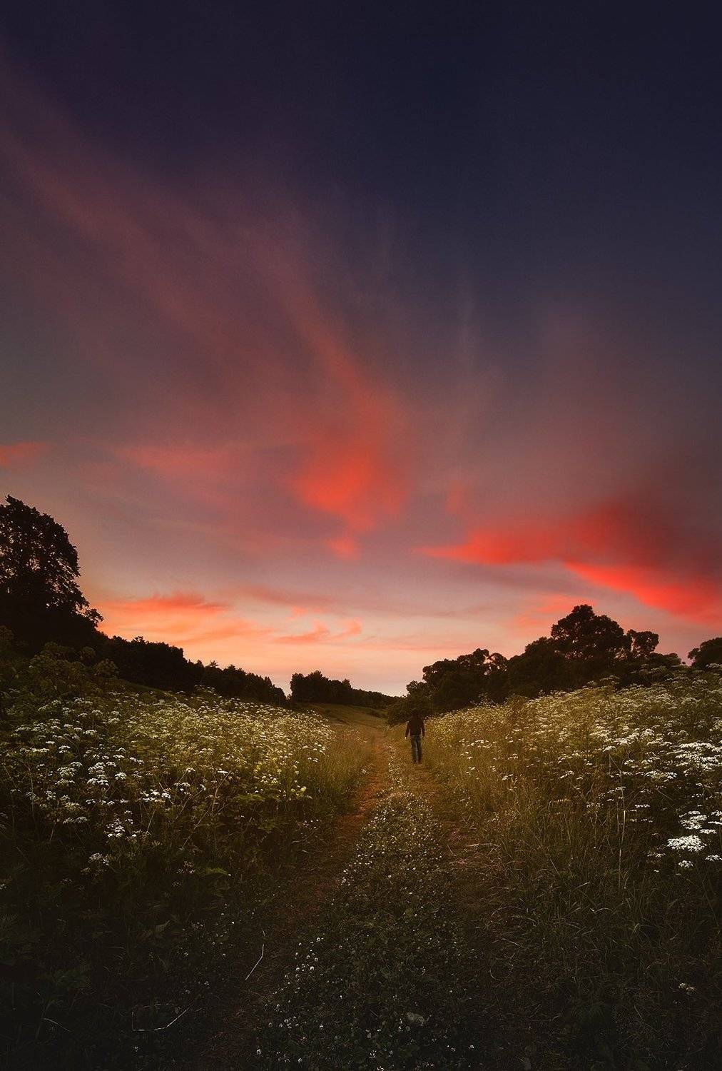 , Каревский Дмитрий