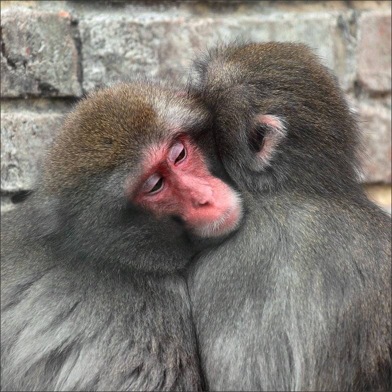 , Сергей Фудиненко