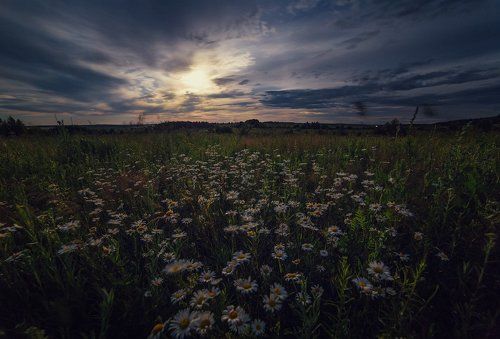 В лунном свете