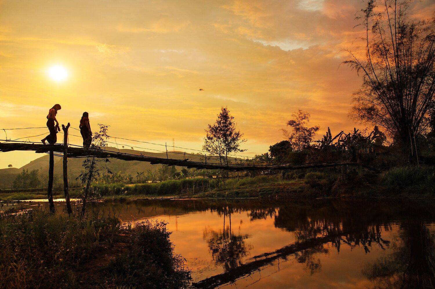 , Trần Ko&oacute;ng