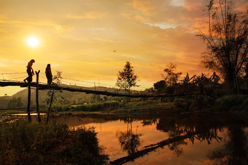 Bamboo bridge фото превью