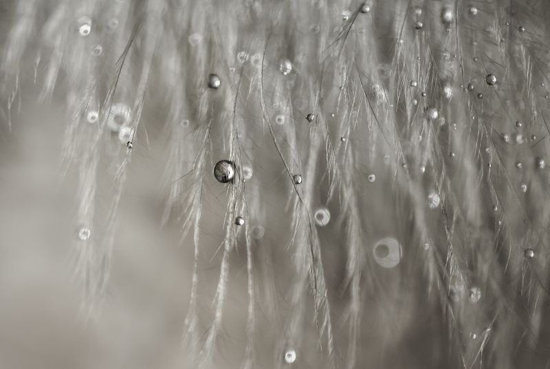 ./ фото превью