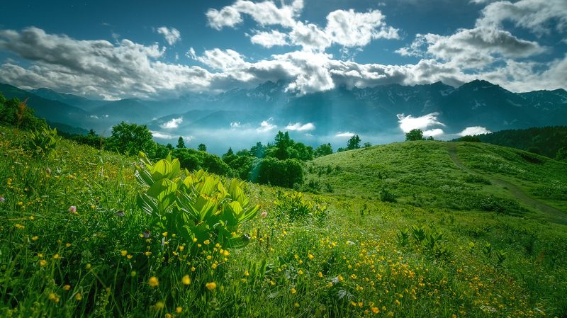 Волшебная ночь фото превью