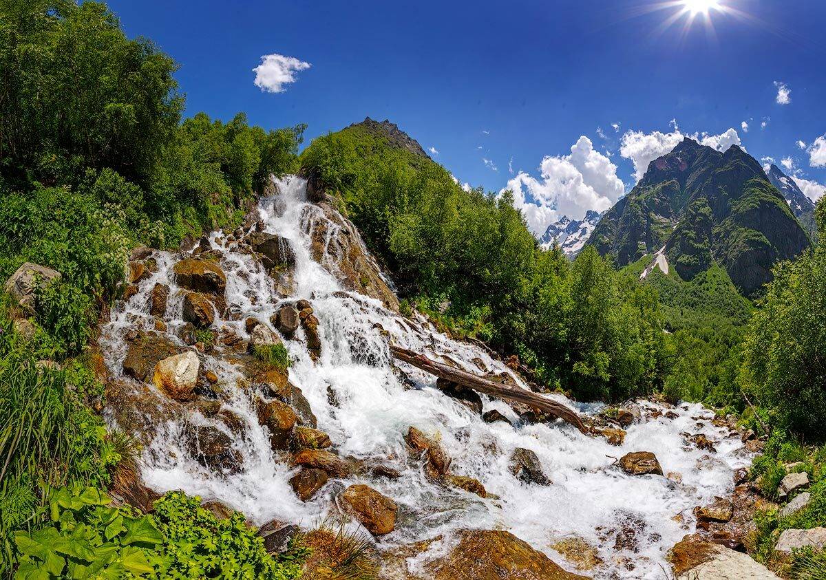 , Владимир Сковородников