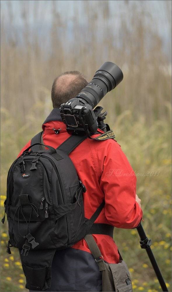 жанр, портрет, Sergey Drobkov