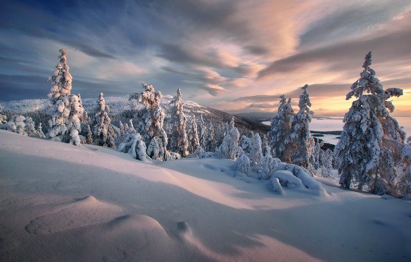 кольский полуостров, мурманская,кандалакша Лапландская зима фото превью