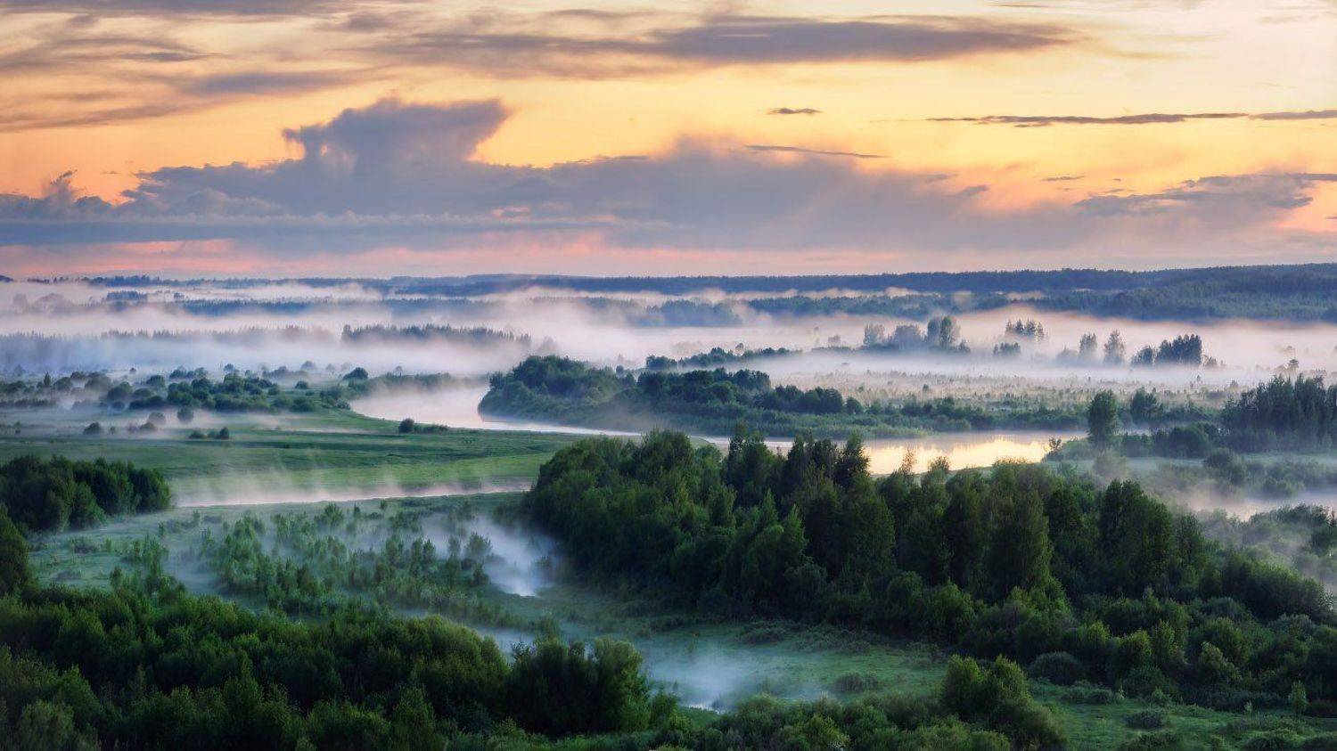 туман, закат, Дмитрий Медянцев