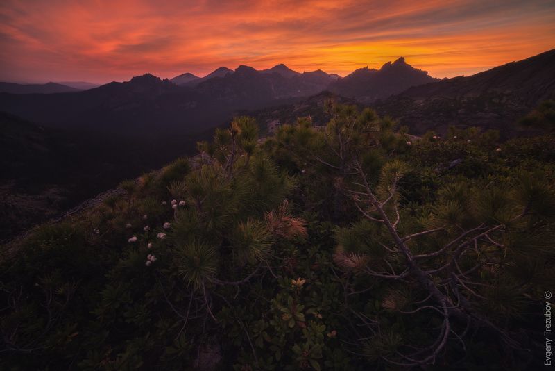 ергаки, природа, пейзаж, саяны, спящий саян, утро, облака, горы, скалы, лето, сибирь, рассвет, заря Кровавый рассвет в природном парке Ергаки. фото превью