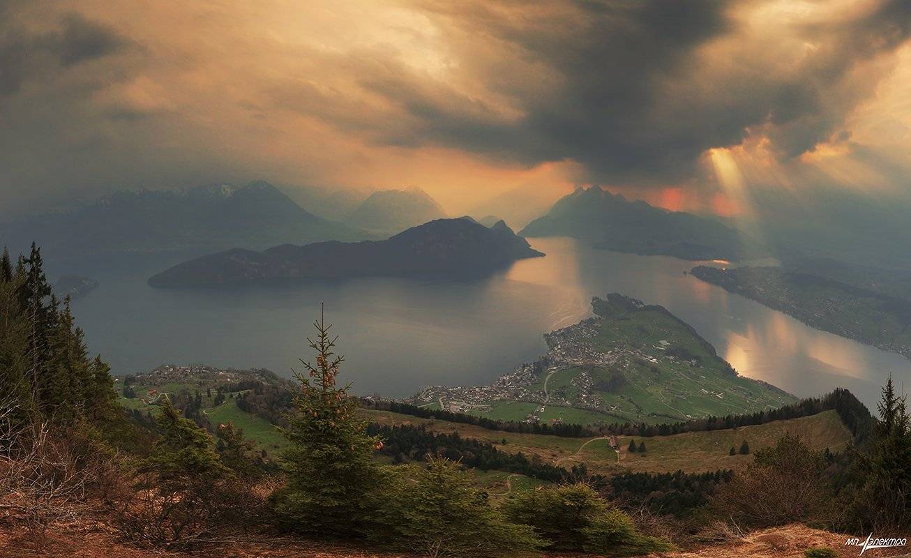 swiss, Матвеев Николай