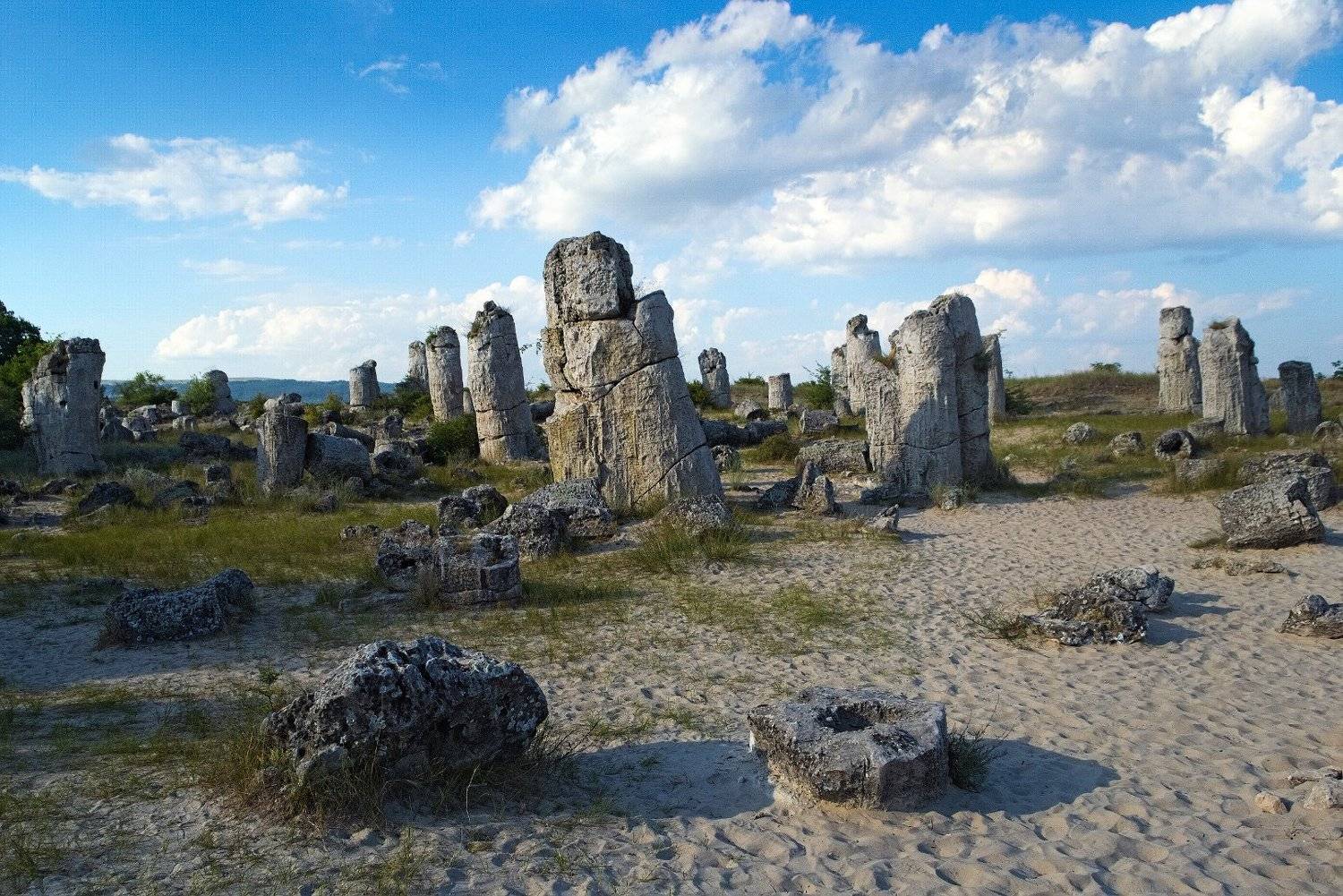 , Мартин Костадинов