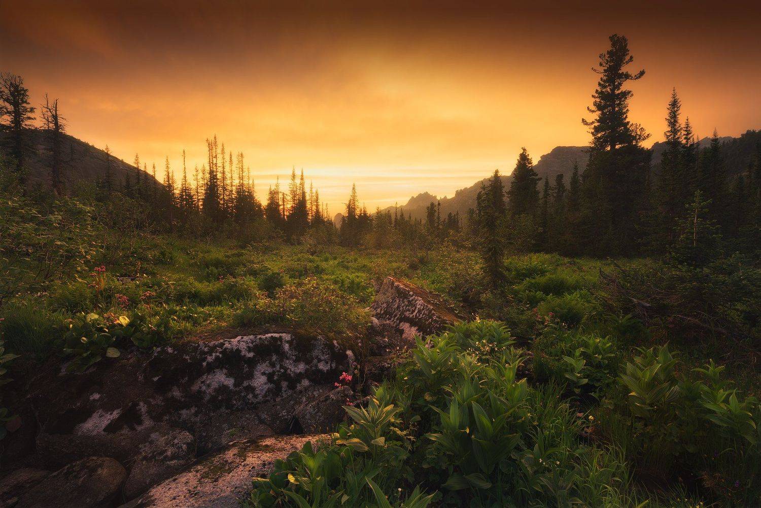 пейзаж, закат, оранжевый, поход, ергаки, лазурное, озеро, вечер, красивый, пихты, кедры, каменный, замок, Бахышев Сафар