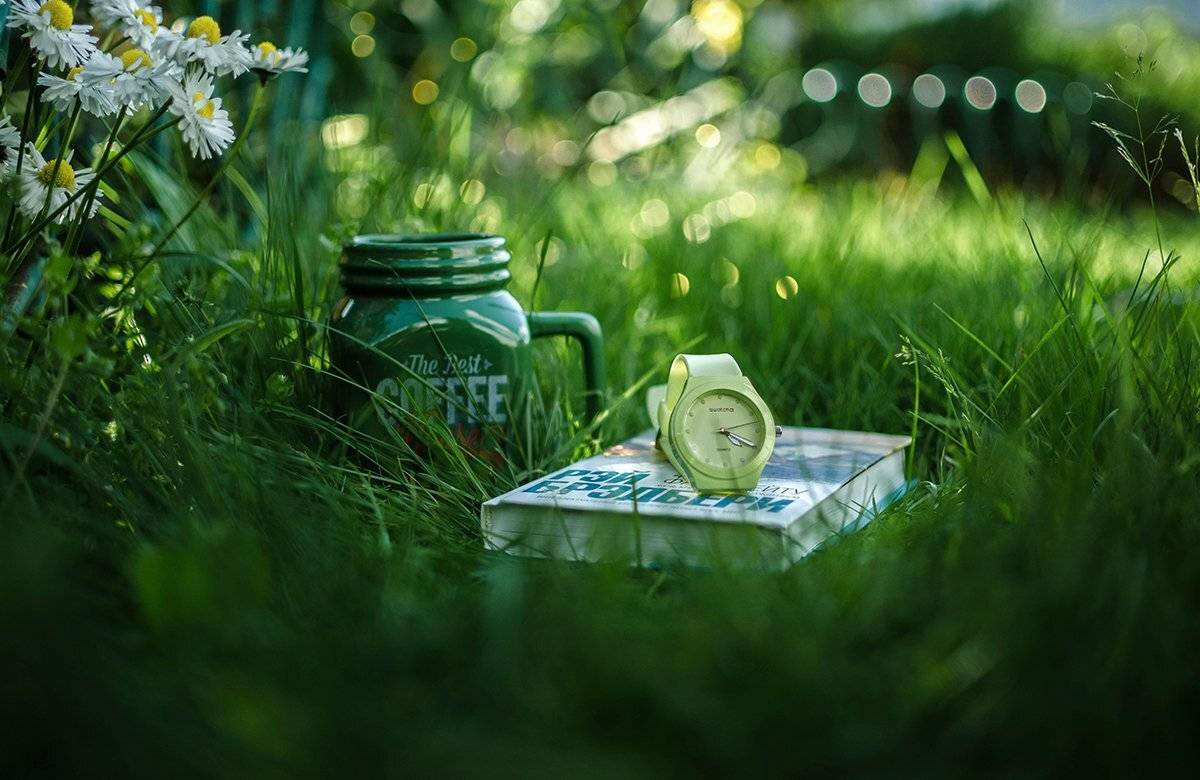 , Чернякова Анна