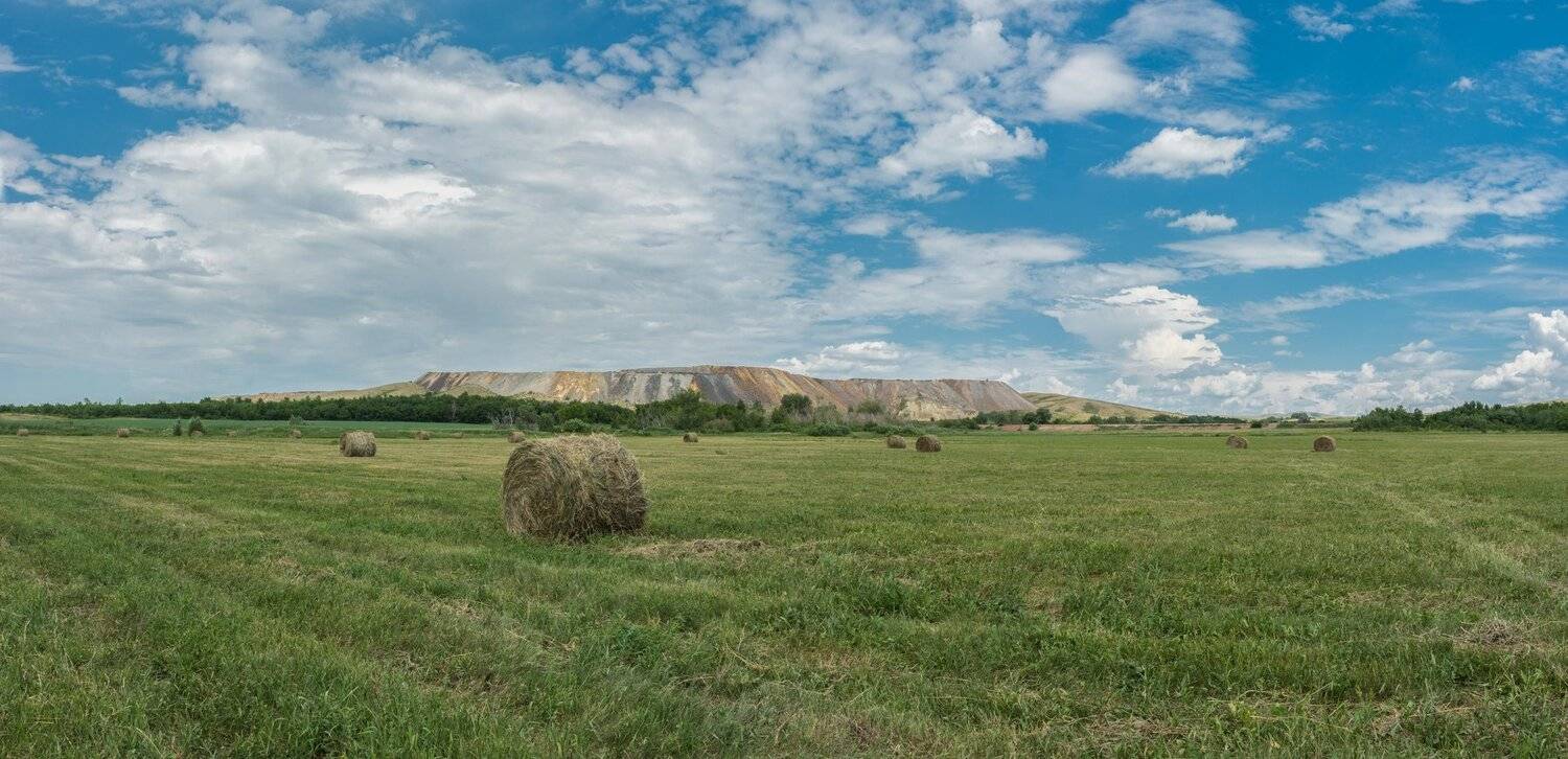 The field. Автор: Сергей Ослопов , Сергей Ослопов