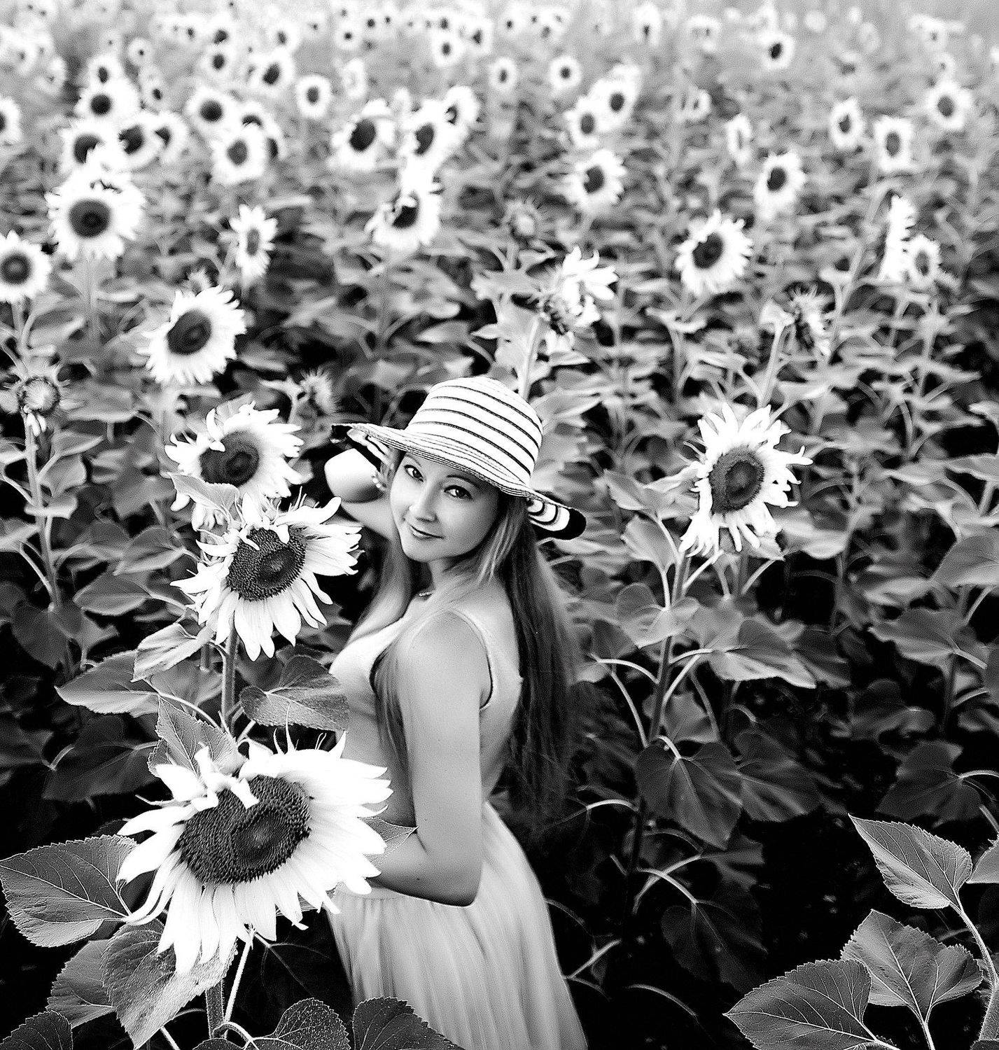 , Франгони Владимир