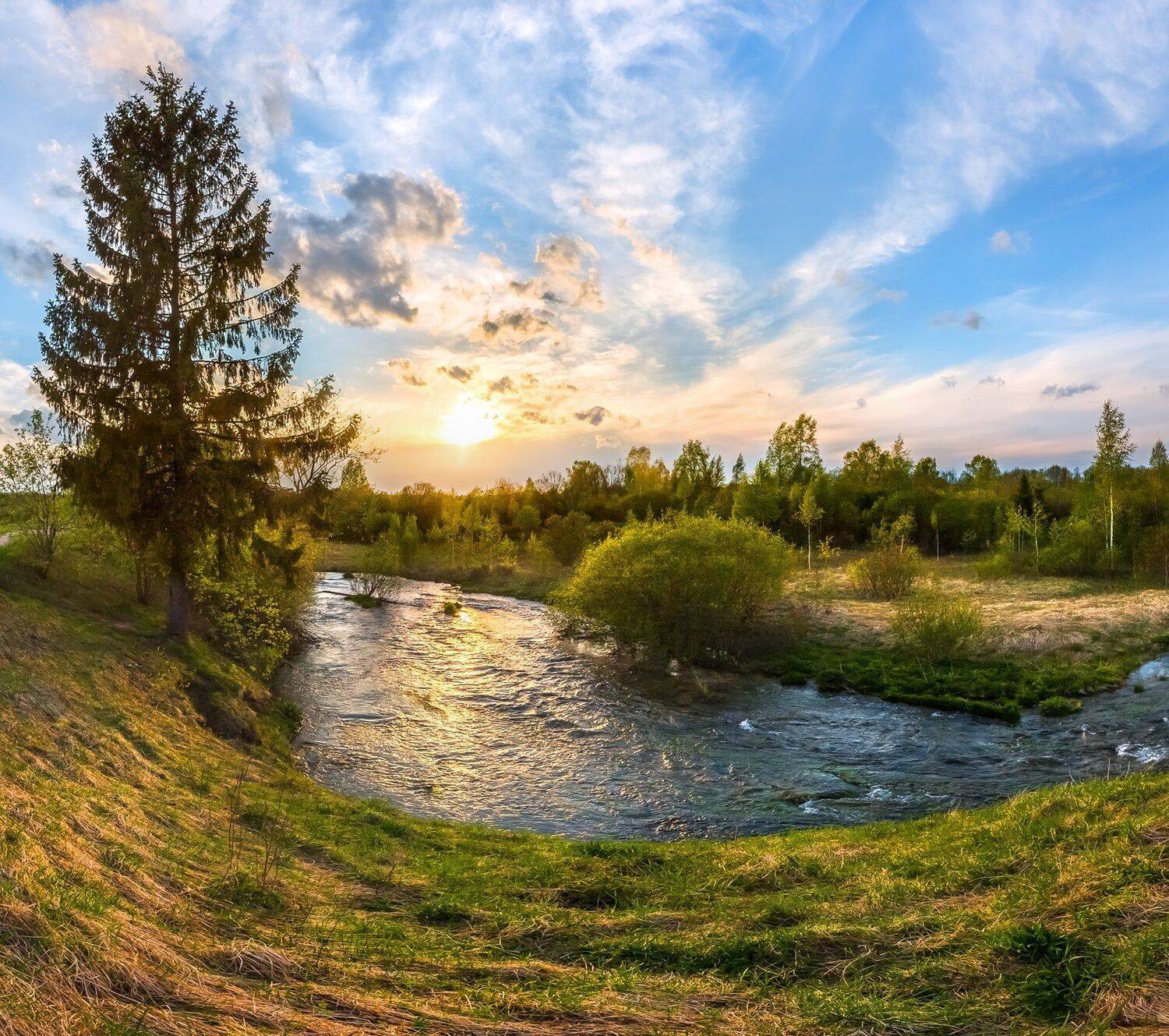 ленинградская область, река ижора, небо, облака, вода, лето, трава, закат, ель,, Лашков Фёдор