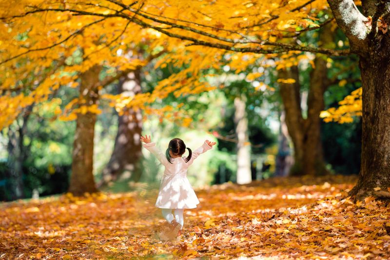 autumn, leaves, yellow, kid, dancing, childhood, girl, celine, emjoy *** фото превью