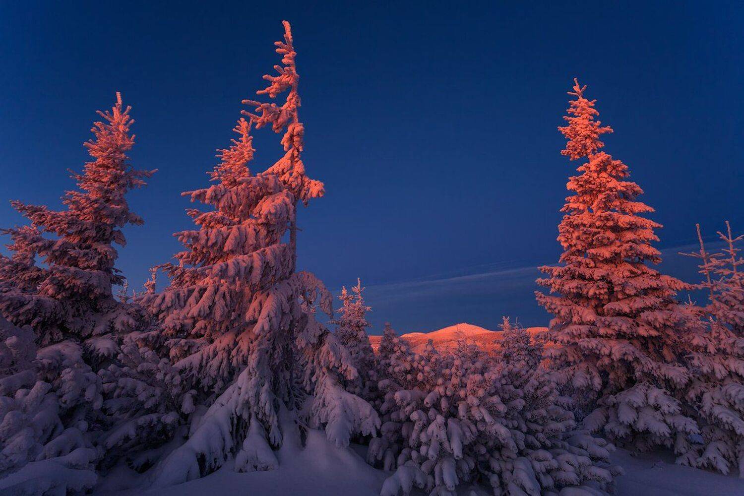 landscape,canon,winter, Iza,Darek