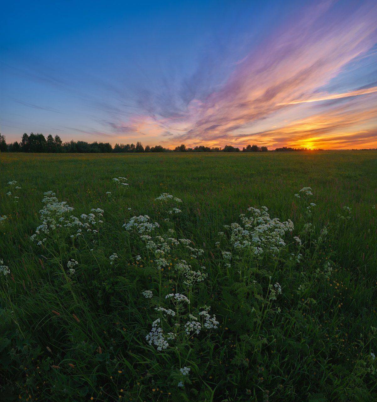 печора,коми,север,белые,ночи,закат, Игорь Подобаев