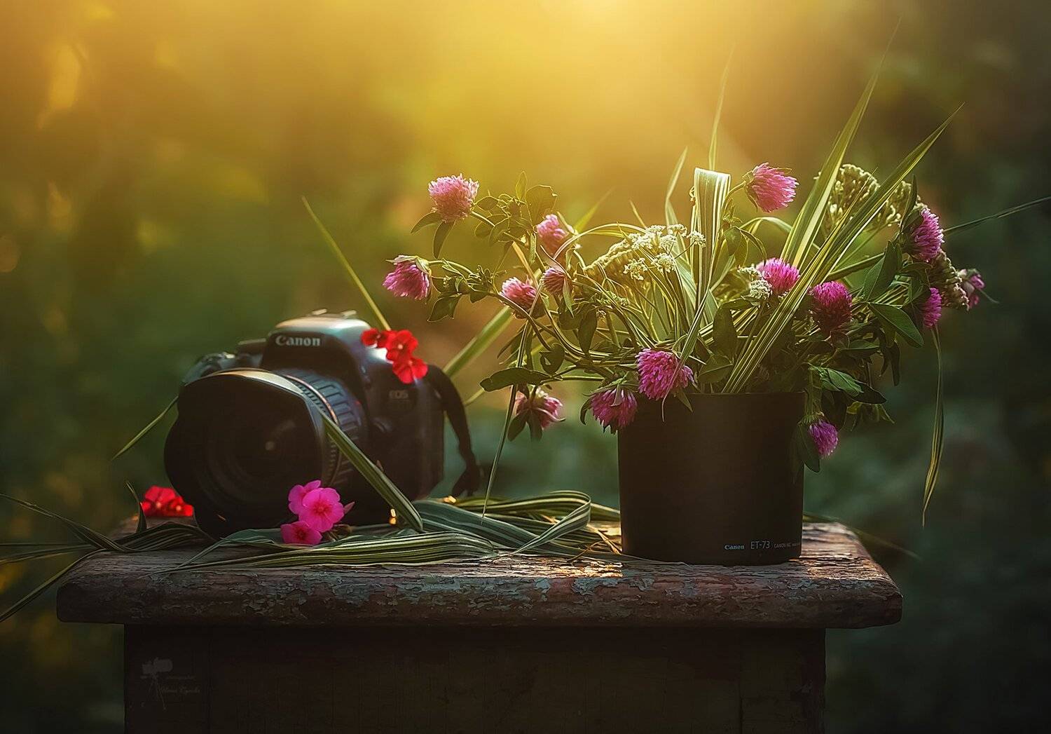 , Инна Сухова