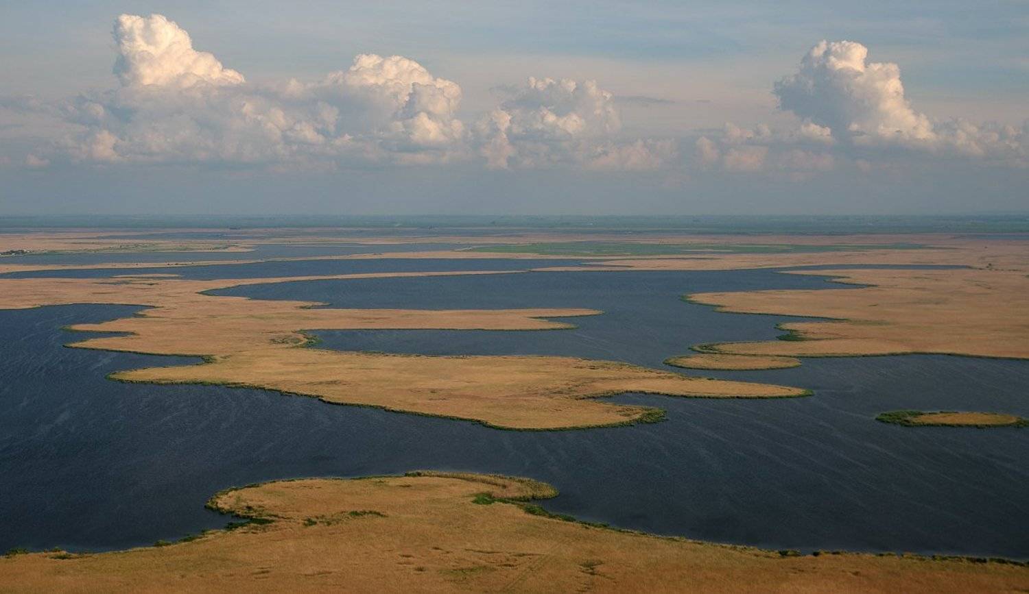 , Сидоренко Алексей