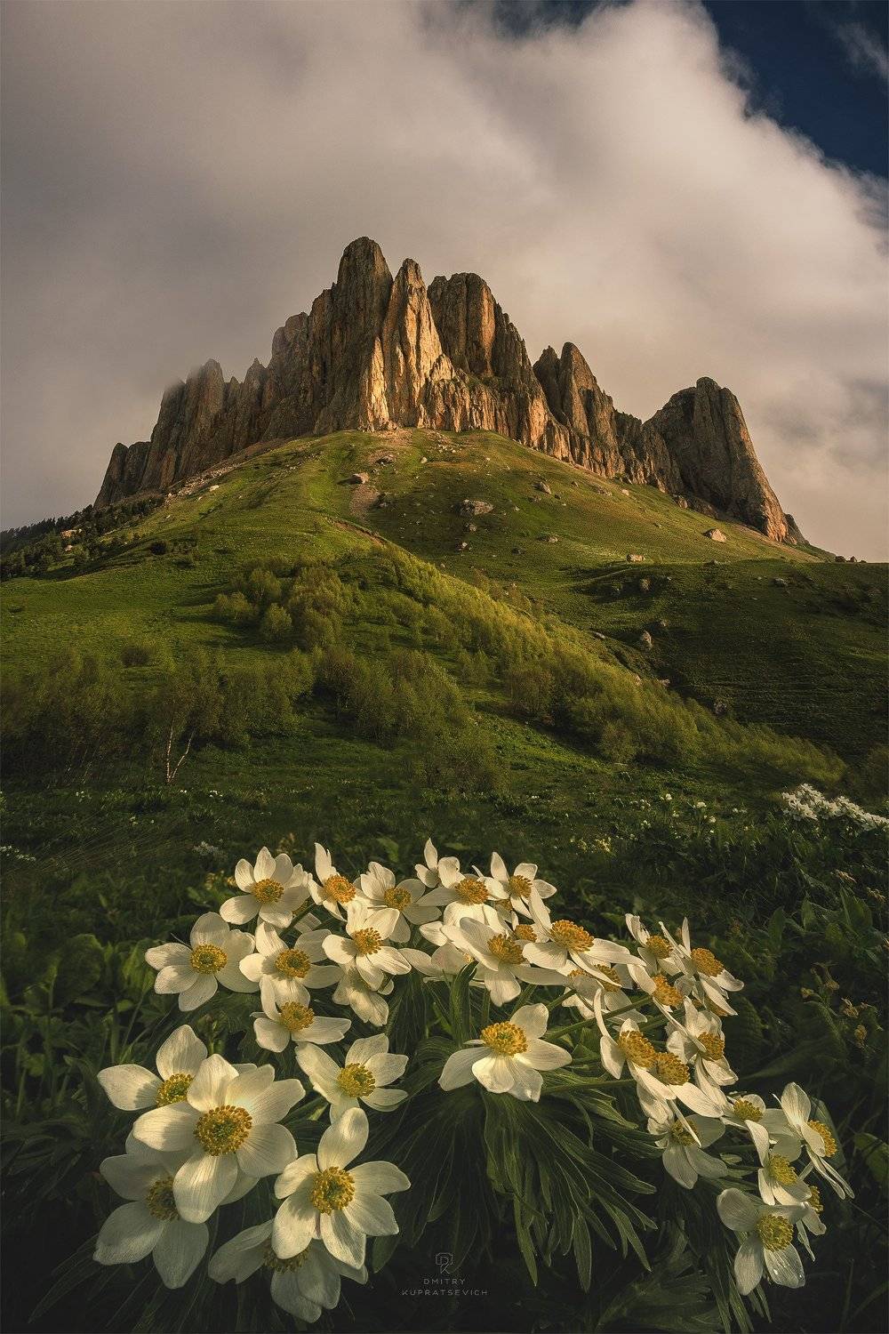 , Дмитрий Купрацевич