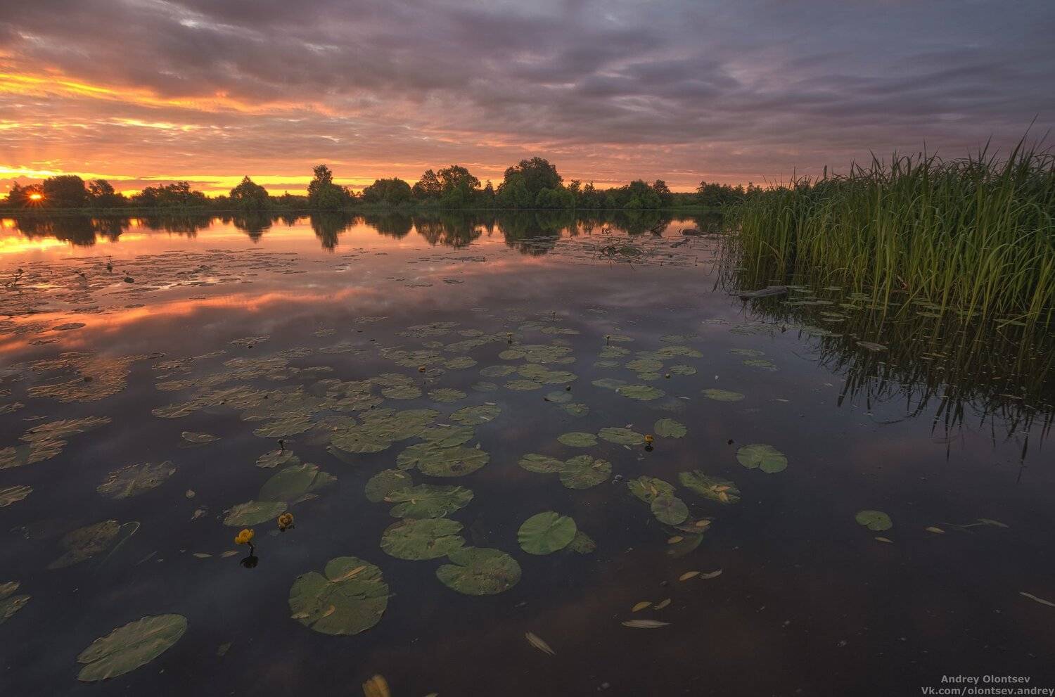дубна, наукоград, подмосковье, россия, пейзаж, пейзажи, вода, солнце, отражение, рассвет, красота, природа, весна, погода, canon dubna, naukograd, moscow, russia, landscape, water, sun, reflection, dawn, beauty, nature, spring, weather, Андрей Олонцев