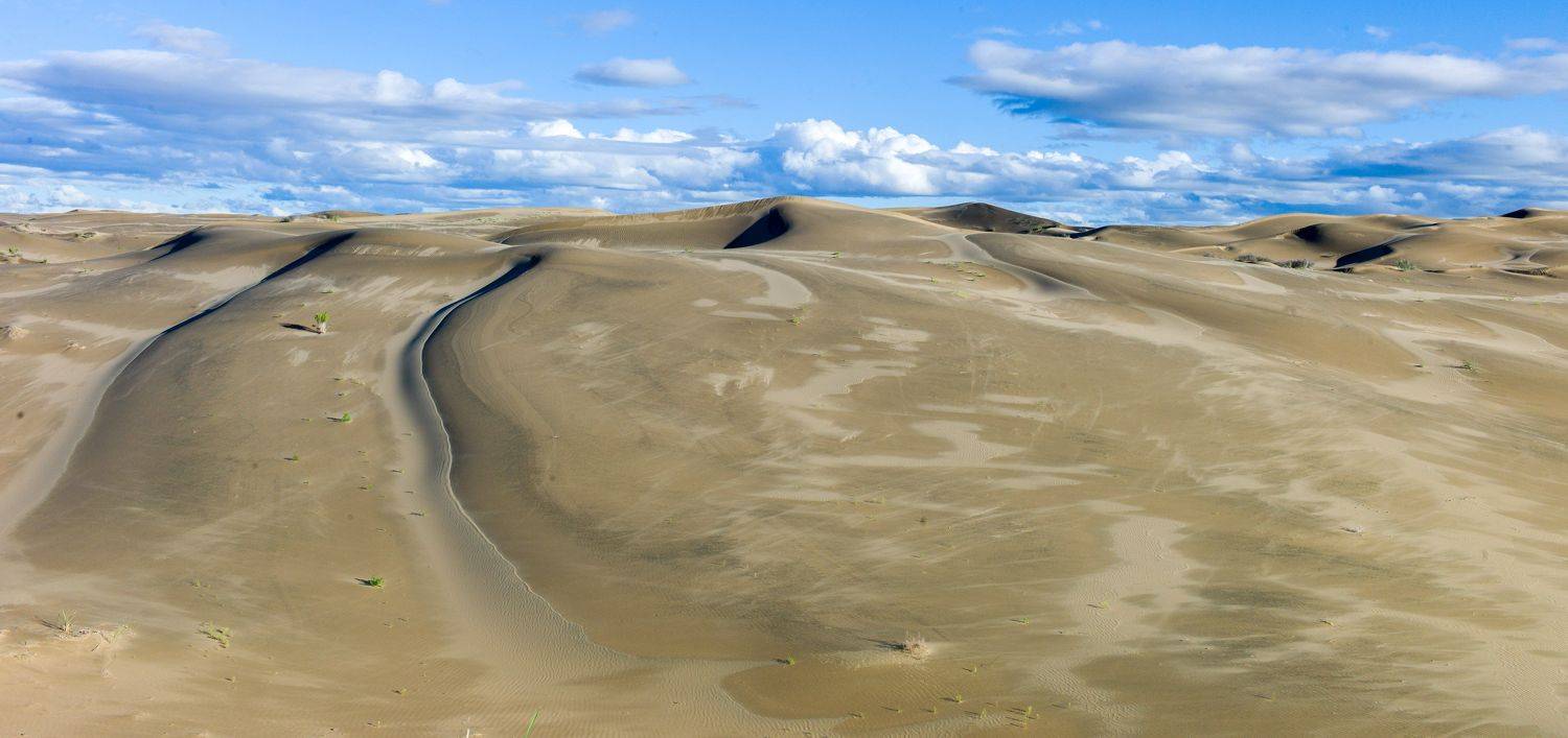 , Михаил Дронов