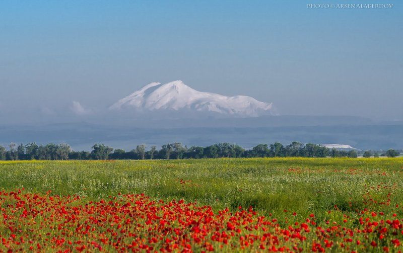 ЭЛЬБРУС И МАКИ фото превью